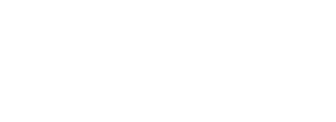 أحمد الجارحي